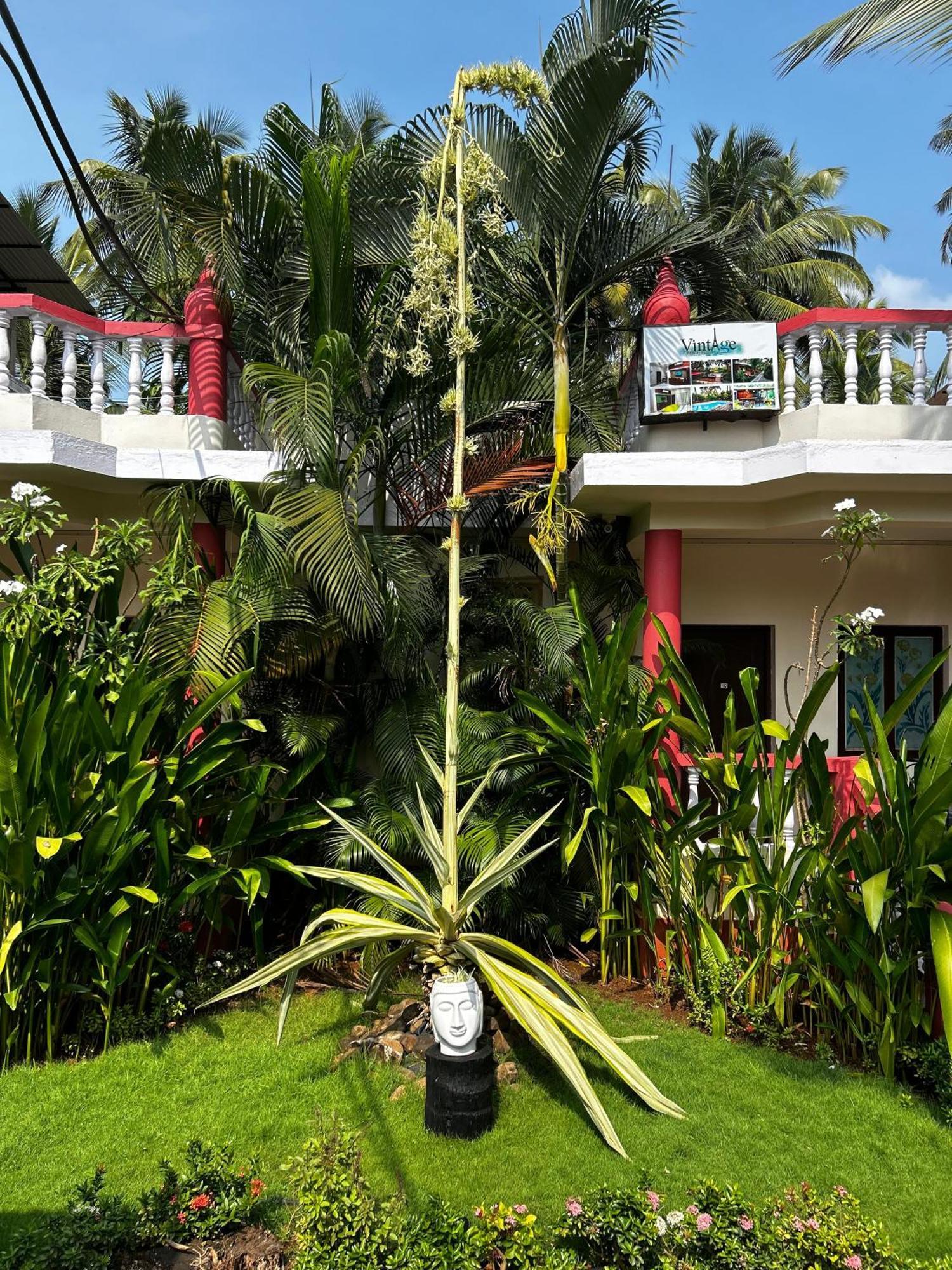 Vintage Beach Resort อากอนดา ภายนอก รูปภาพ